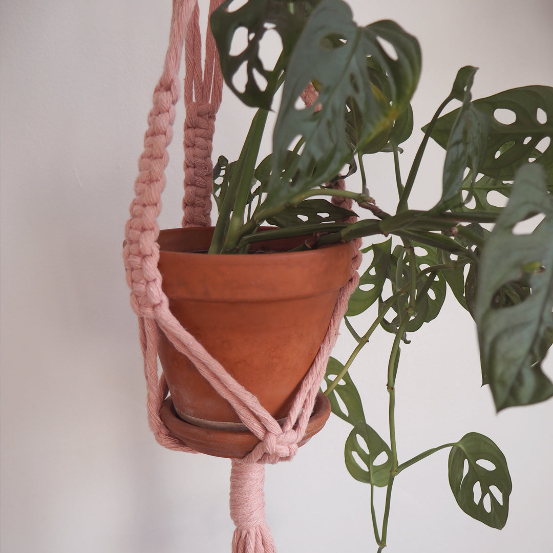 Jardinière en macramé, faite avec de la corde de coton recyclé